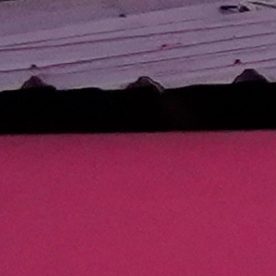 Crimen de Mario Pineida: Revelan que sicarios habrían cobrado $1,500 dólares por asesinato del futbolista