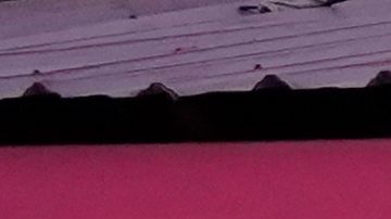 Crimen de Mario Pineida: Revelan que sicarios habrían cobrado $1,500 dólares por asesinato del futbolista