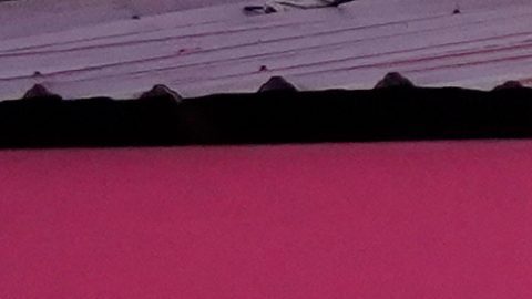 Crimen de Mario Pineida: Revelan que sicarios habrían cobrado $1,500 dólares por asesinato del futbolista