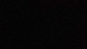 El Papa aceptó la renuncia del Arzobispo Timothy Michael Dolan.