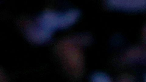 El alero de los New York Knicks, OG Anunoby (izquierda), dribla el balón ante el alero de los Philadelphia 76ers, Jabari Walker (centro), y el pívot Adam Bona (derecha), durante la primera mitad de un partido de baloncesto de la NBA, el viernes 19 de diciembre de 2025, en Nueva York.