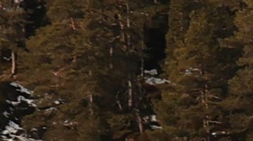 Murió el futbolista alemán Sebastian Hertner tras caer 70 metros de un centro de esquí en Montenegro