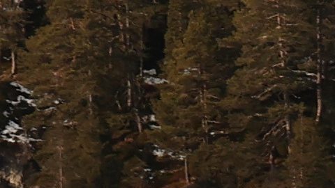 Murió el futbolista alemán Sebastian Hertner tras caer 70 metros de un centro de esquí en Montenegro
