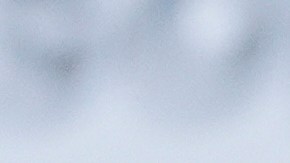 El 8 de sebrero se analizará si los cargos deben ser desestimados definitivamente.