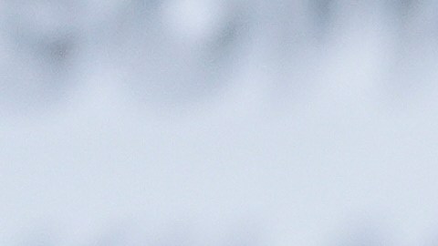 El 8 de sebrero se analizará si los cargos deben ser desestimados definitivamente.