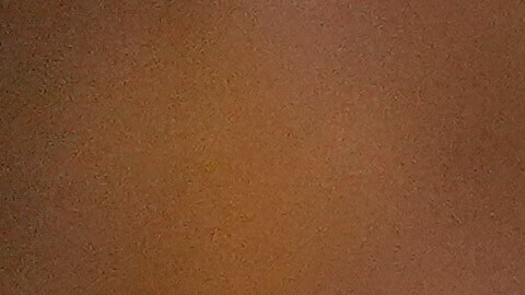 El gobierno estadounidense considera que la regulación de las redes sociales para limitar la desinformación y el discurso de odio constituye una forma de censura.