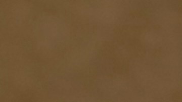 Documentos en los archivos de Jeffrey Epstein del Departamento de Justicia