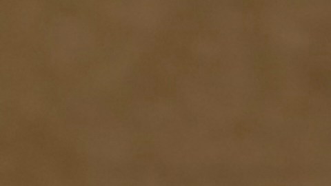 Documentos en los archivos de Jeffrey Epstein del Departamento de Justicia