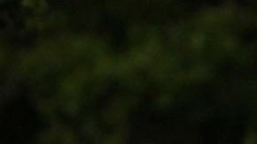 Detectives investigan la causa de la muerte de la niña.