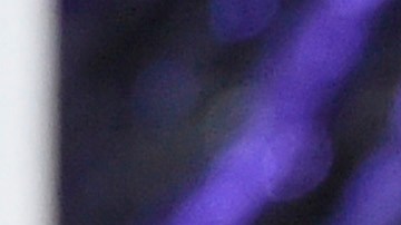 Premio a Rafael Ithier de El Gran Combo