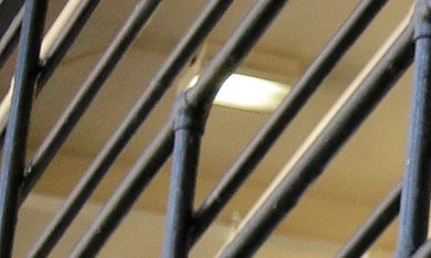 Los fiscales indicaron que valiéndose de su cargo cometió el crimen.