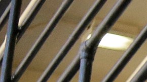 Los fiscales indicaron que valiéndose de su cargo cometió el crimen.