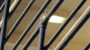 Los fiscales indicaron que valiéndose de su cargo cometió el crimen.