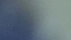 El entrenador Abel Braga observando un partido.