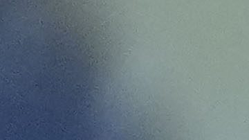 El entrenador Abel Braga observando un partido.