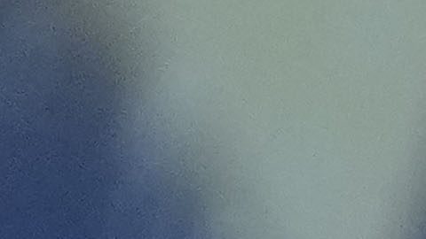 El entrenador Abel Braga observando un partido.