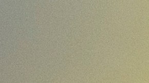 Adam Levine compró la casa aunque nunca estuvo disponible en el mercado.