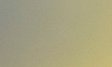 Adam Levine compró la casa aunque nunca estuvo disponible en el mercado.