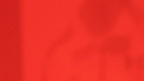 Adamari López, presentadora puertorriqueña de televisión.