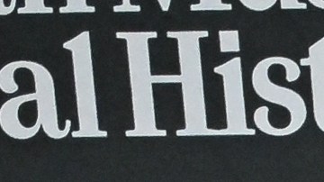 Alec e Hilaria Baldwin tienen siete hijos y quieren dar todas las comodidades.