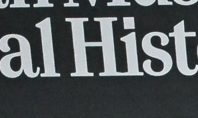 Alec e Hilaria Baldwin tienen siete hijos y quieren dar todas las comodidades.