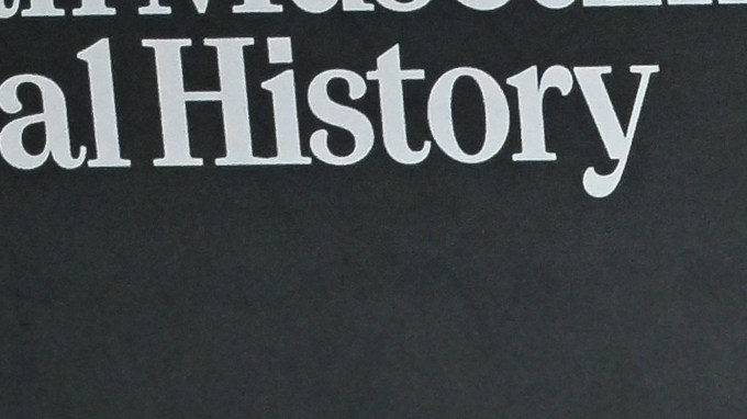 Alec e Hilaria Baldwin tienen siete hijos y quieren dar todas las comodidades.