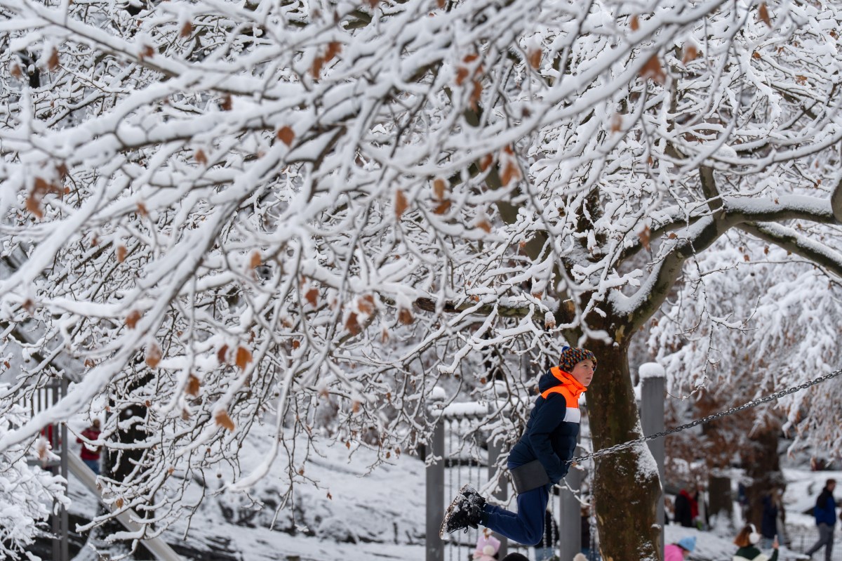 Alerta de tormenta invernal en el área triestatal post-Navidad