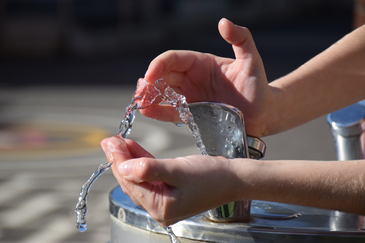 Alerta por detección de plomo en agua potable de escuelas de Long Island