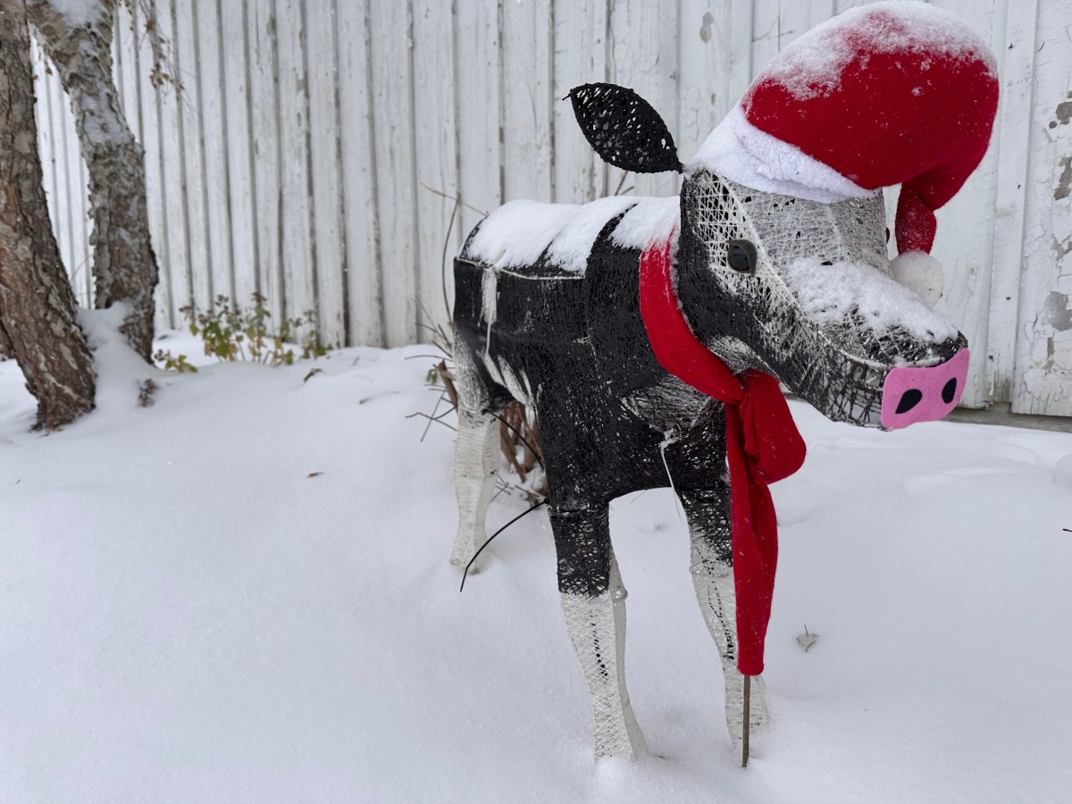 Alertan por tormenta invernal: posible acumulación de hasta 5 pulgadas de nieve en el área triestatal