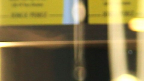 Alicia Machado, actriz venezolana, lanza crítica contra Telemundo.