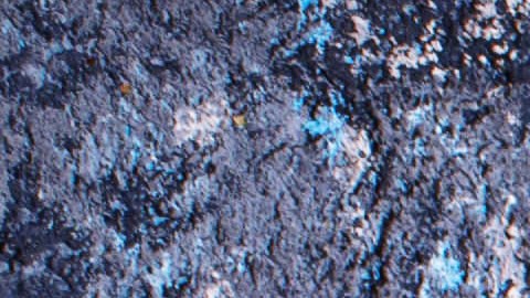 La fibra es fundamental para una buena digestión, sin embargo, se debe consumir con moderación.