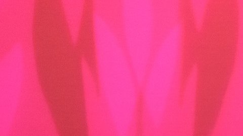 “Mi danza es dramática, intensa, casi teatral. Eso viene de cómo crecimos muchos latinos: las telenovelas, el carnaval, la samba, la capoeira", dice Leonardo Brito.