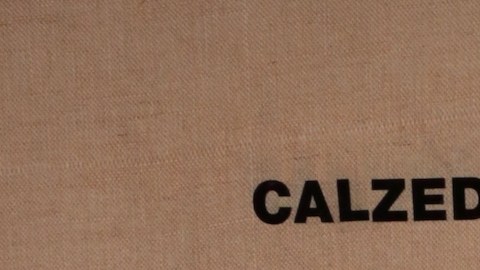 Ana Paula Capetillo.