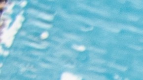 Google revela el mapa culinario de EE. UU. en 2025: fusión, plant-based y sabores de raíz.