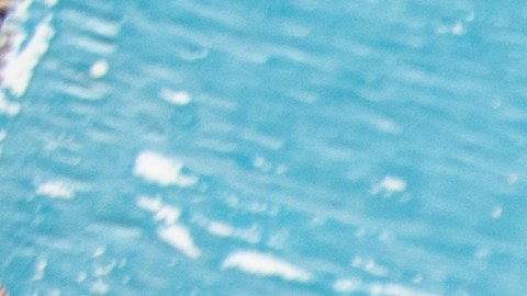 Google revela el mapa culinario de EE. UU. en 2025: fusión, plant-based y sabores de raíz.