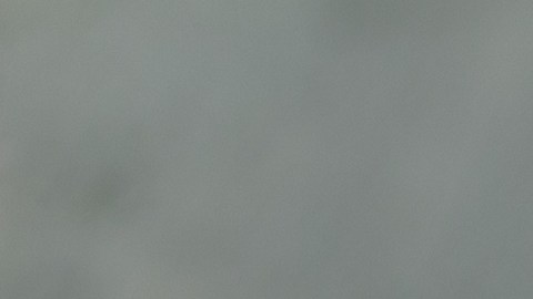 El humilde plato de arroz con huevo es un alimento bastante completo, según los expertos.