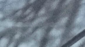 Autobús escolar eléctrico