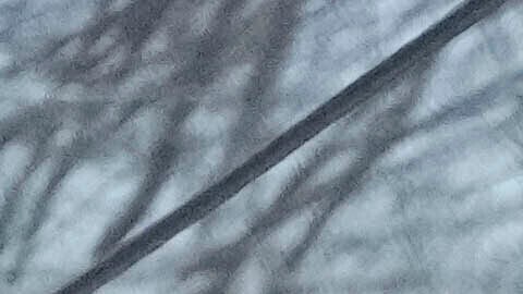 Autobús escolar eléctrico