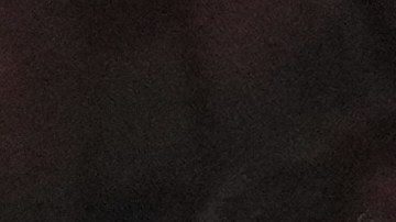 Bad Bunny sigue dejando atónitos a sus fans con los invitados.