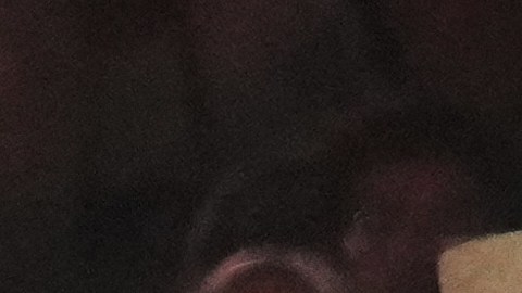 Bad Bunny sigue dejando atónitos a sus fans con los invitados.