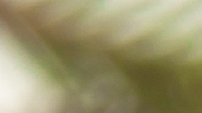 El secreto del baileys está en hacerlo en dos fases.