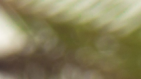 El secreto del baileys está en hacerlo en dos fases.