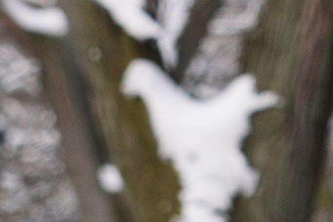 Cuaca dingin ekstrem di Amerika