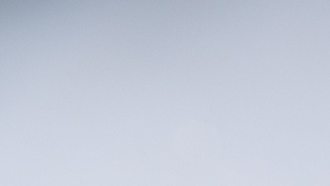 Conoce cinco bebidas reconfortantes para el invierno.