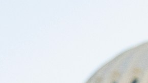 Exsenador republicano Ben Sasse anuncia que padece cáncer de páncreas avanzado: "Voy a morir"