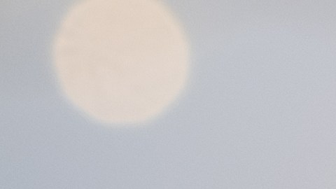 Sácala del frío 30 minutos antes de servir para liberar toda su complejidad. Acompáñala con galletas simples y deja que el sabor sea el protagonista.