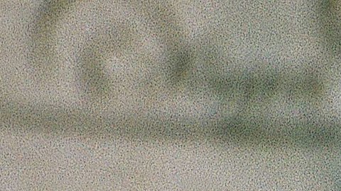 Brigitte Bardot es considerada una musa del cine francés.