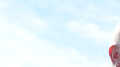 Trump respalda a Bruce Blakeman para la gobernación de Nueva York