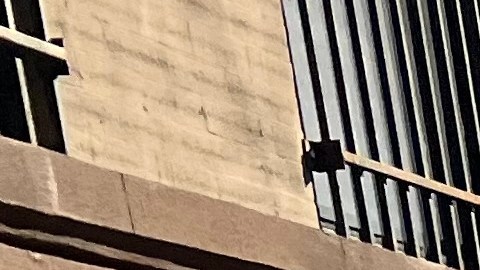 Llamado a aumentar apoyo a adultos mayores víctima de explotación financiera