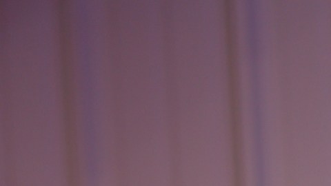 Carolina Sandoval, presentadora venezolana de televisión.